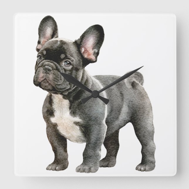 French Bulldog Puppy Square Wall Clock (Front)
