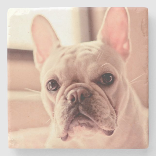 French Bulldog Puppy Stone Coaster (Front)
