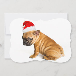 French bulldog puppy wearing a Santa Claus hat Holiday Card