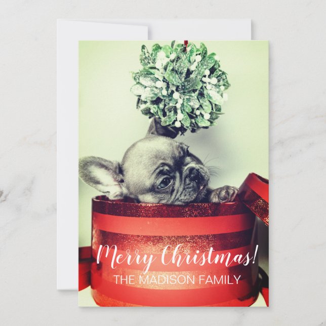 French Bulldog Puppy With Mistletoe In Gift Box Holiday Card (Front)