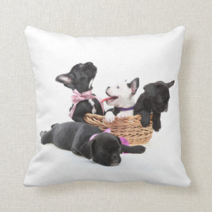 French Bulldog Pups Cushion