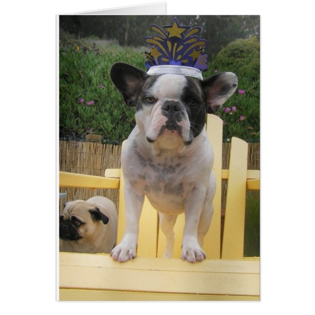 French Bulldog Queen (Front)