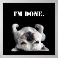 French Bulldog Resting On His Back