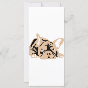 French Bulldog rose
