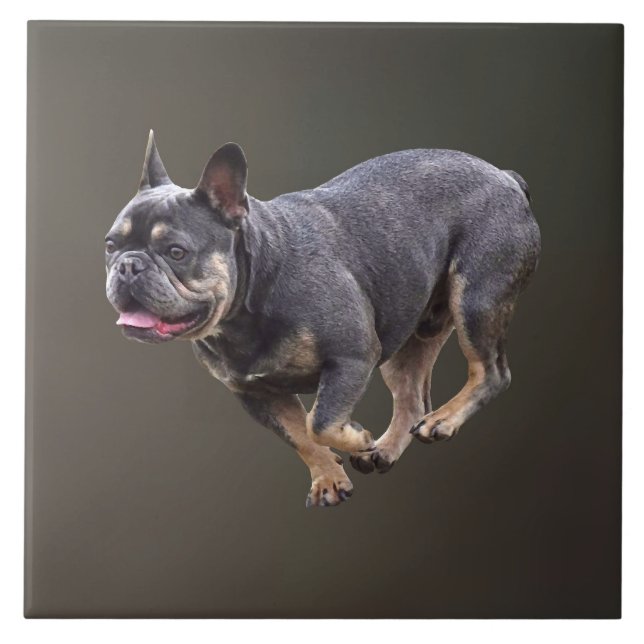 French Bulldog Running Tile (Front)