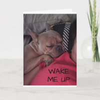 "FRENCH BULLDOG" SAYS "GET WELL SOON"