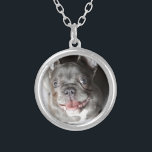 French bulldog silver plated necklace<br><div class="desc">fashion dog,  French bulldog,  puppy,  pet,  dog,  puppy,  animal,  dog,  dog,  bulldog,  bulldogge,  french bulldog,  pets,  puppies,  dog,  french bulldogge,  bulldog,  puppy,  dog,  fashion,  pet</div>