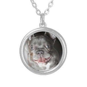 French bulldog silver plated necklace