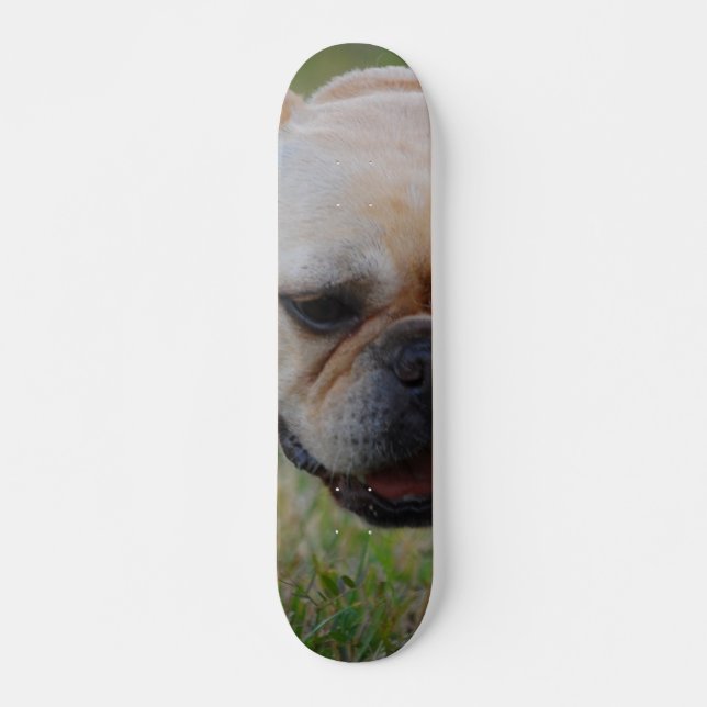 French Bulldog Skateboard (Front)