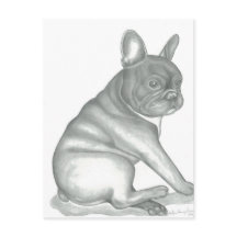 French Bulldog sketch postcards