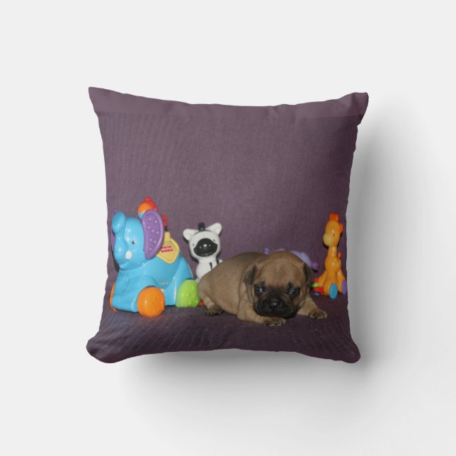 French Bulldog small puppy Bulldog Cushion (Front)