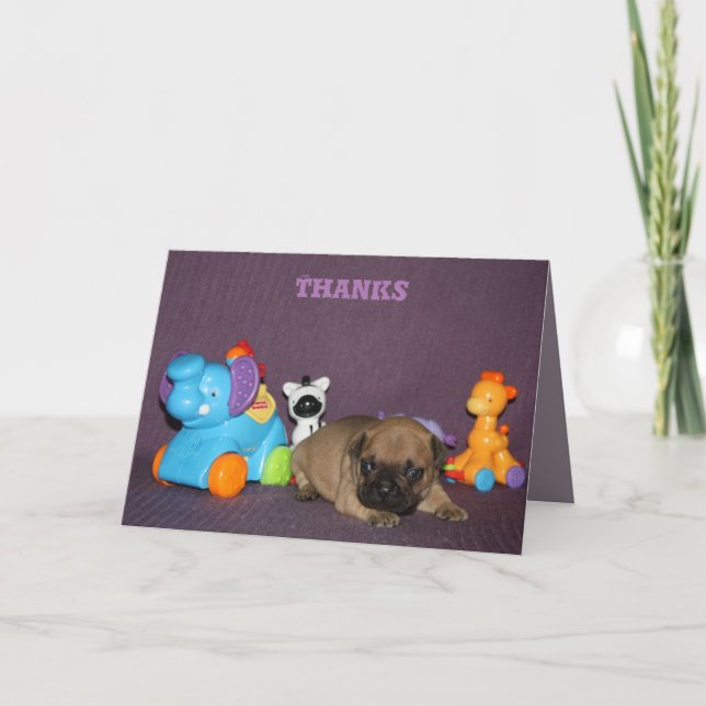 French Bulldog small puppy Bulldog Thank You Card (Front)
