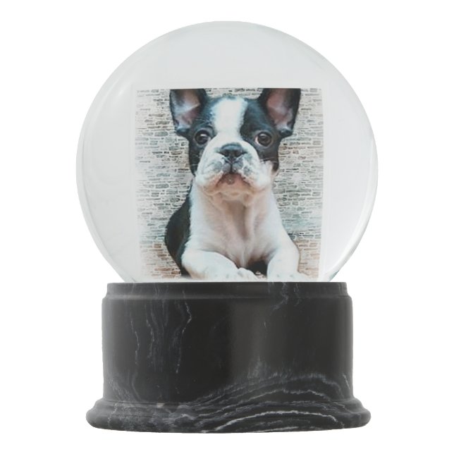 French Bulldog Snow Globe (Back)