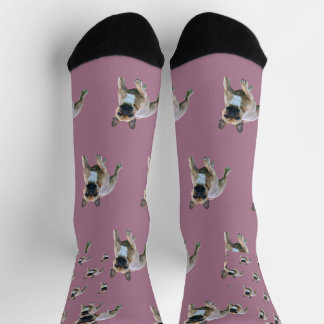 French Bulldog Socks