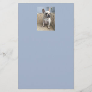 French Bulldog Stationary Stationery
