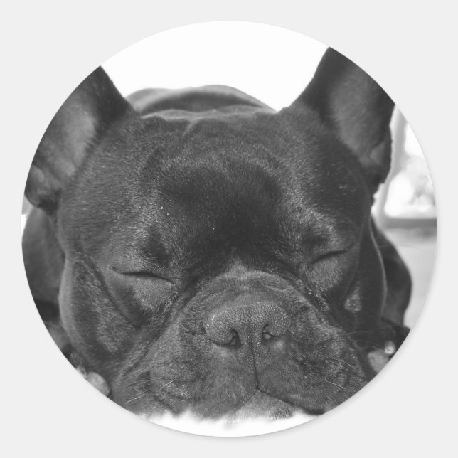 French Bulldog Sticker (Front)