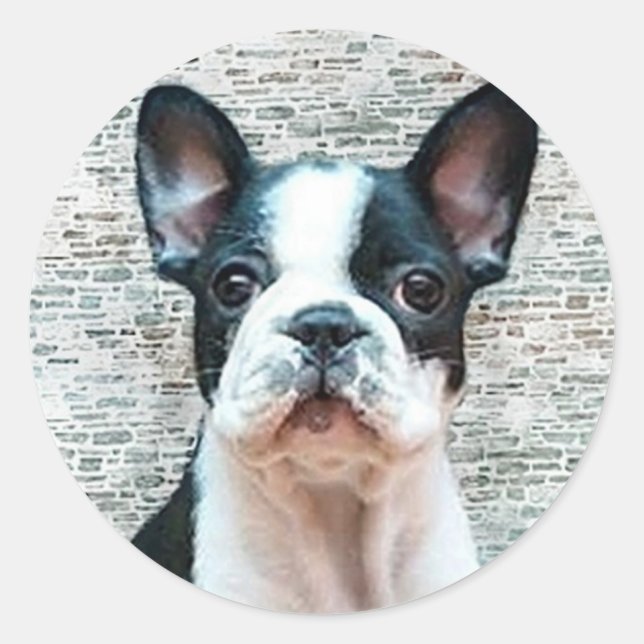 French Bulldog stickers (Front)