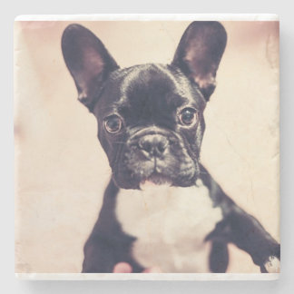 French Bulldog Stone Coaster