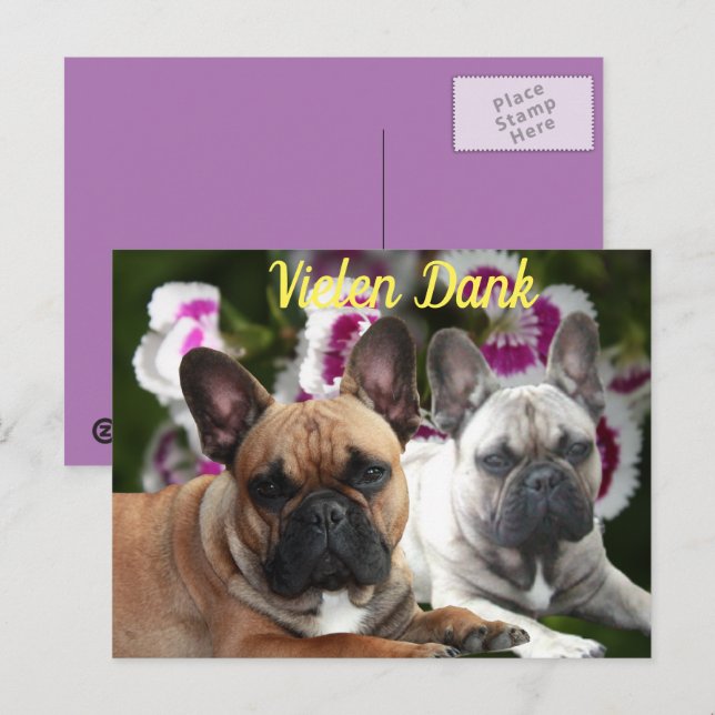 French Bulldog Thank you French Bulldog Postcard (Front/Back)