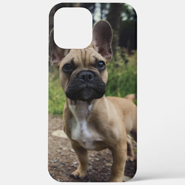 French Bulldog Throw Pillow Case-Mate iPhone Case (Back)