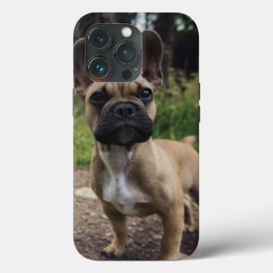 French Bulldog Throw Pillow iPhone 13 Pro Case