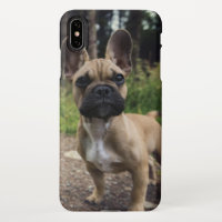 French Bulldog Throw Pillow