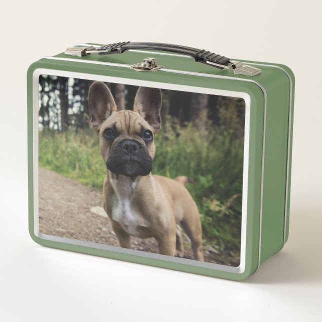 French Bulldog Throw Pillow Metal Lunch Box (Front)