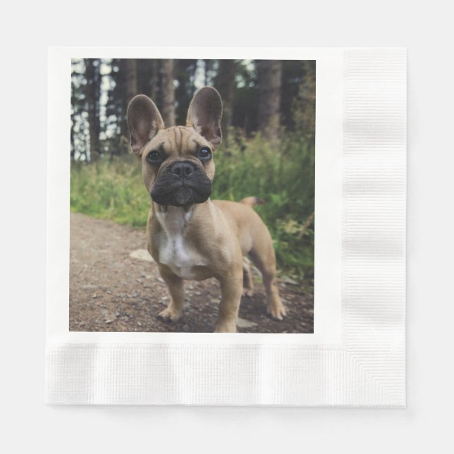 French Bulldog Throw Pillow Napkin (Front)