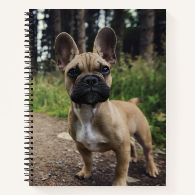 French Bulldog Throw Pillow Notebook (Front)