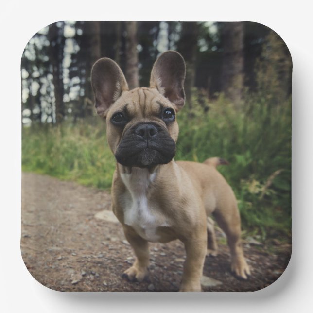 French Bulldog Throw Pillow Paper Plate (Front)
