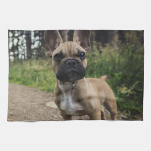 French Bulldog Throw Pillow Tea Towel