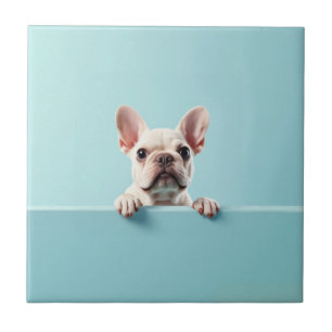 French Bulldog Tile