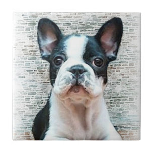 French Bulldog Tile