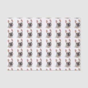 French Bulldog tissue paper