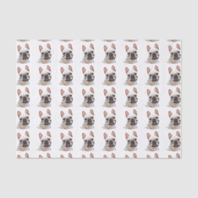French Bulldog tissue paper (Front)
