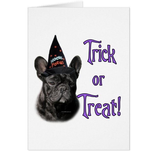 French Bulldog Trick (Front)