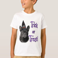 French Bulldog Trick