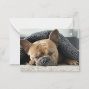 french bulldog under blanket card
