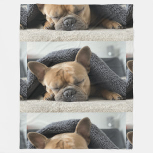 french bulldog under blanket   fleece blanket