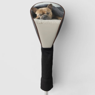 french bulldog under blanket   golf head cover