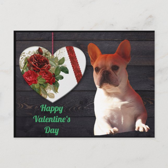 French Bulldog Valentine's Day French Bulldog Postcard (Front)