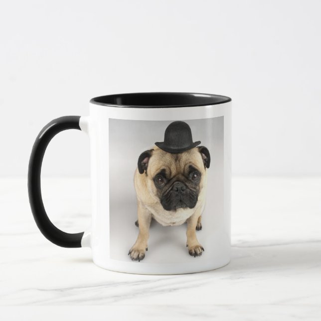 French bulldog wearing bowler, studio shot mug (Left)