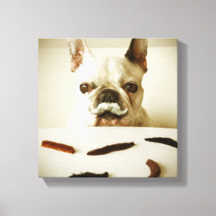 French Bulldog With A Moustache Canvas Print