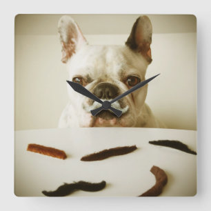 French Bulldog With A Moustache Square Wall Clock