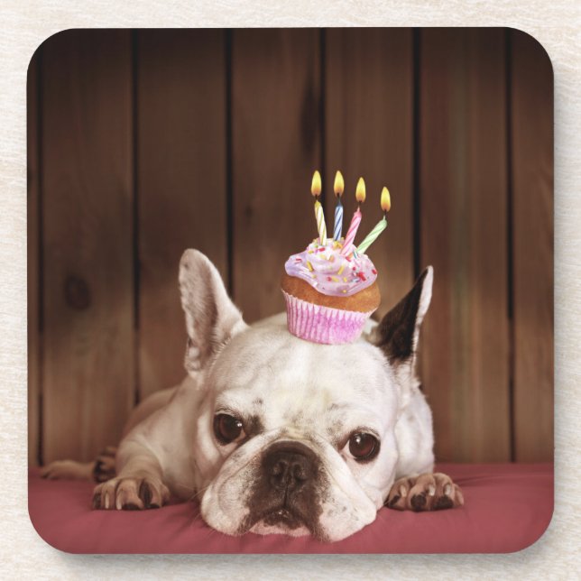 French Bulldog With Birthday Cupcake Coaster (Front)