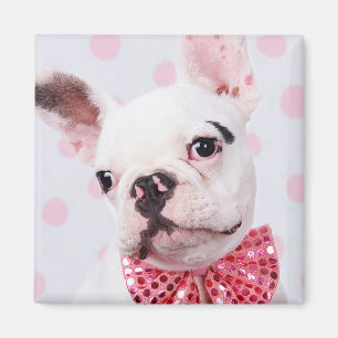 French Bulldog with Bow Tie Magnet