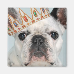 French Bulldog with Crown Magnet