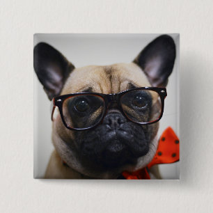 French Bulldog With Glasses And Bow Tie 15 Cm Square Badge