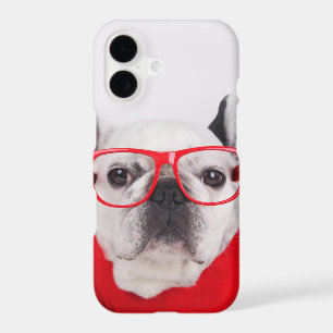 French Bulldog with Glasses and Shirt