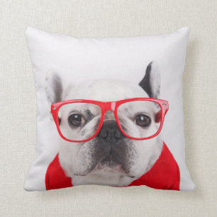 French Bulldog with Glasses and Shirt Cushion